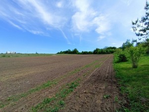 ул. Східна (с. Лесовые Гриновцы, Хмельницкий район) - Продається сільськогосподарська ділянка, 6000 $ - АФНУ