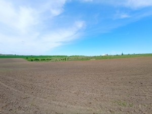 ул. Східна (с. Лесовые Гриновцы, Хмельницкий район) - Продається сільськогосподарська ділянка, 6000 $ - АФНУ