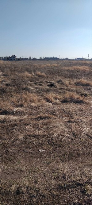 Сквирське шосе (г. Белая Церковь, Військбуд) - Продається сільськогосподарська ділянка, 16000 $ - АФНУ