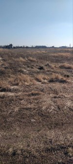 Сквирське шосе (г. Белая Церковь, Військбуд) - Продається сільськогосподарська ділянка, 16000 $ - АФНУ